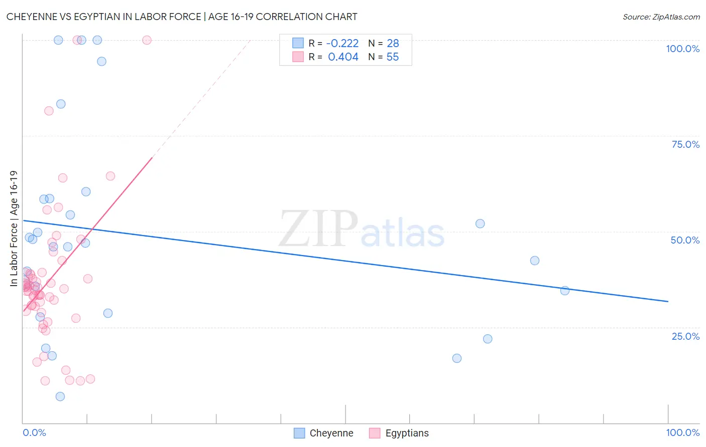 Cheyenne vs Egyptian In Labor Force | Age 16-19