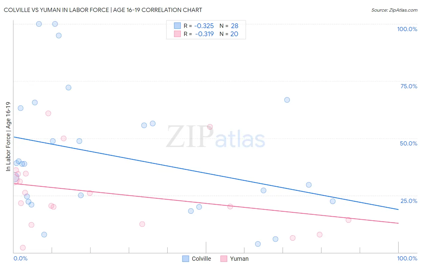 Colville vs Yuman In Labor Force | Age 16-19