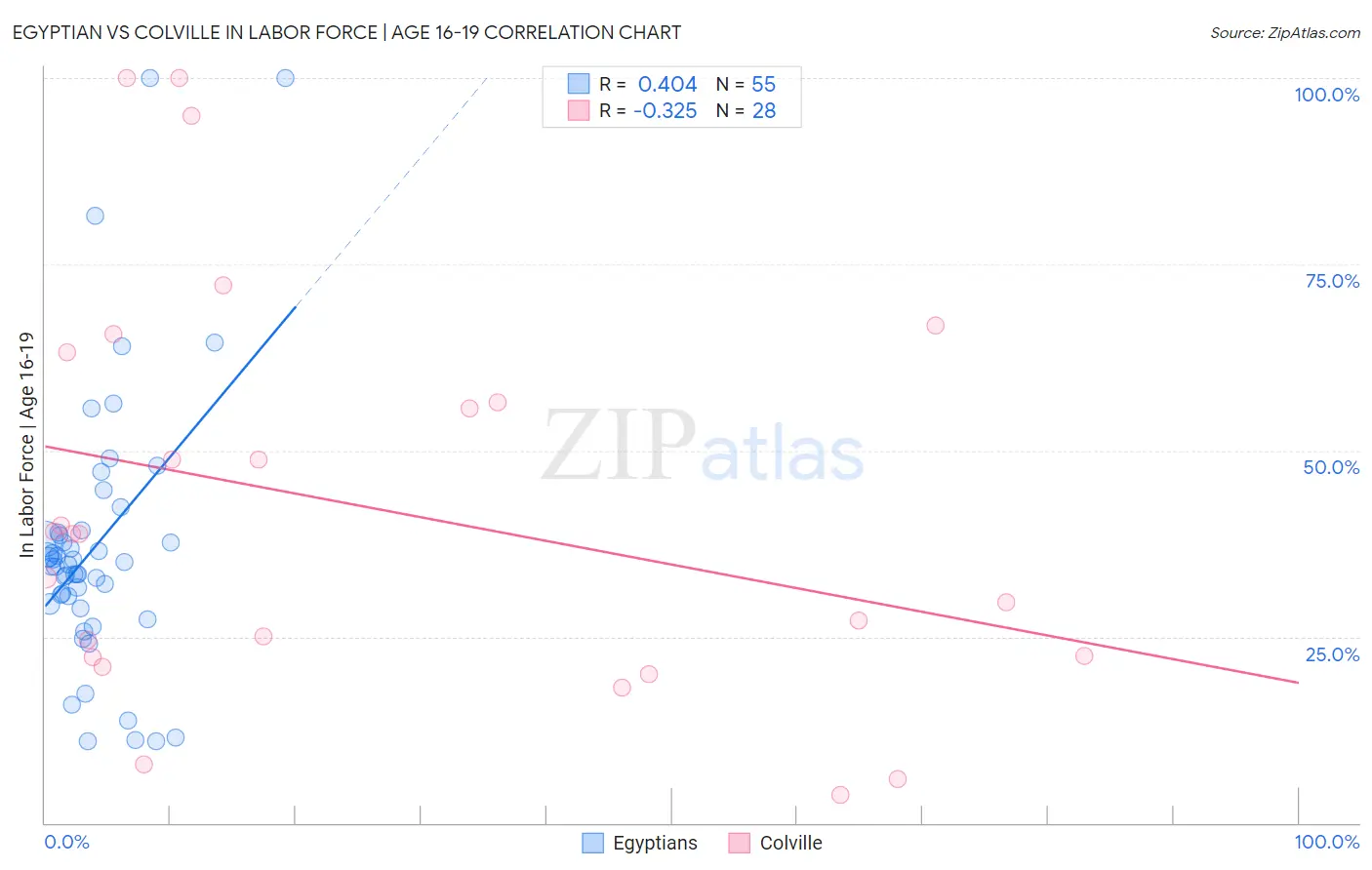 Egyptian vs Colville In Labor Force | Age 16-19