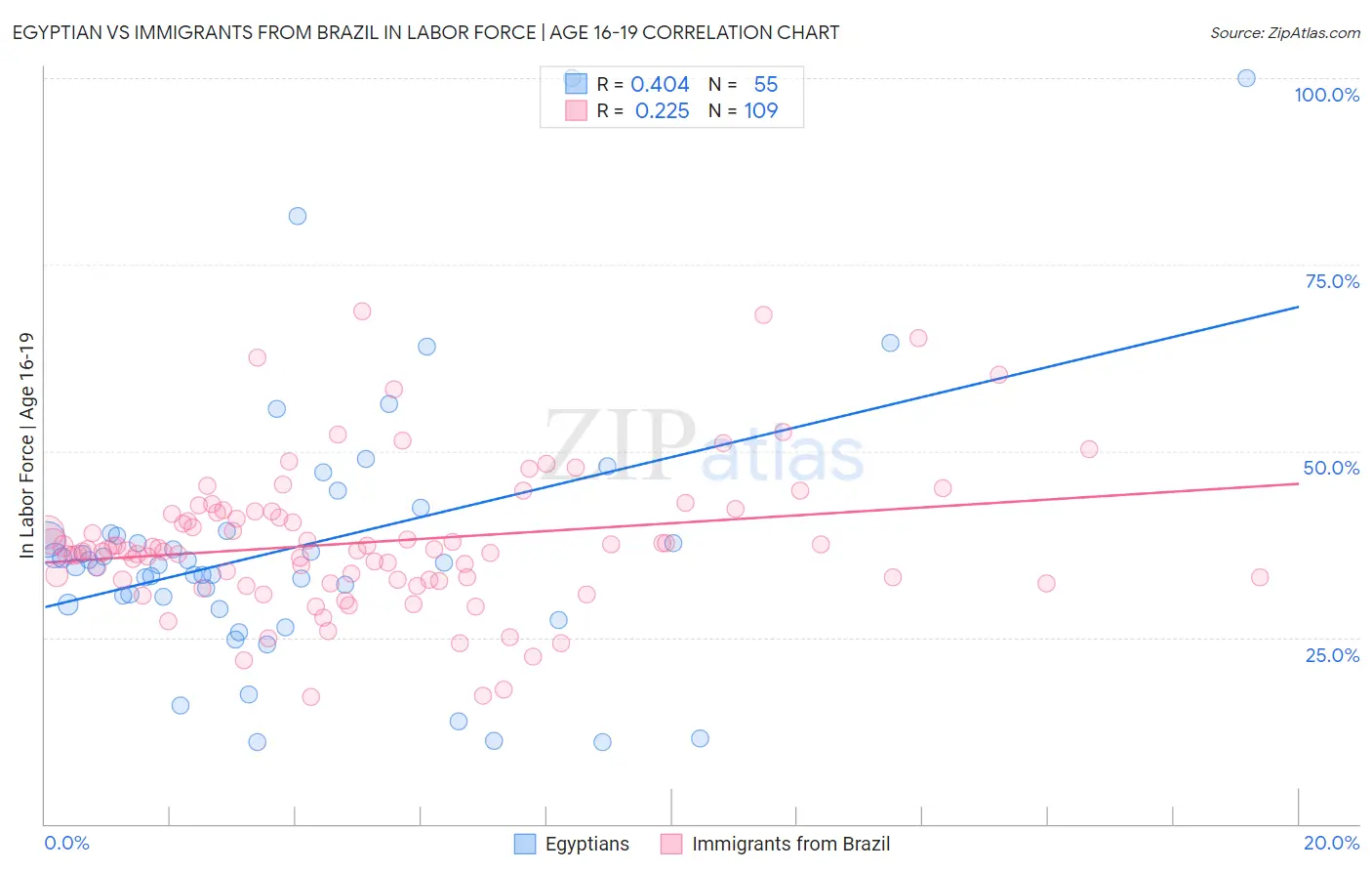 Egyptian vs Immigrants from Brazil In Labor Force | Age 16-19