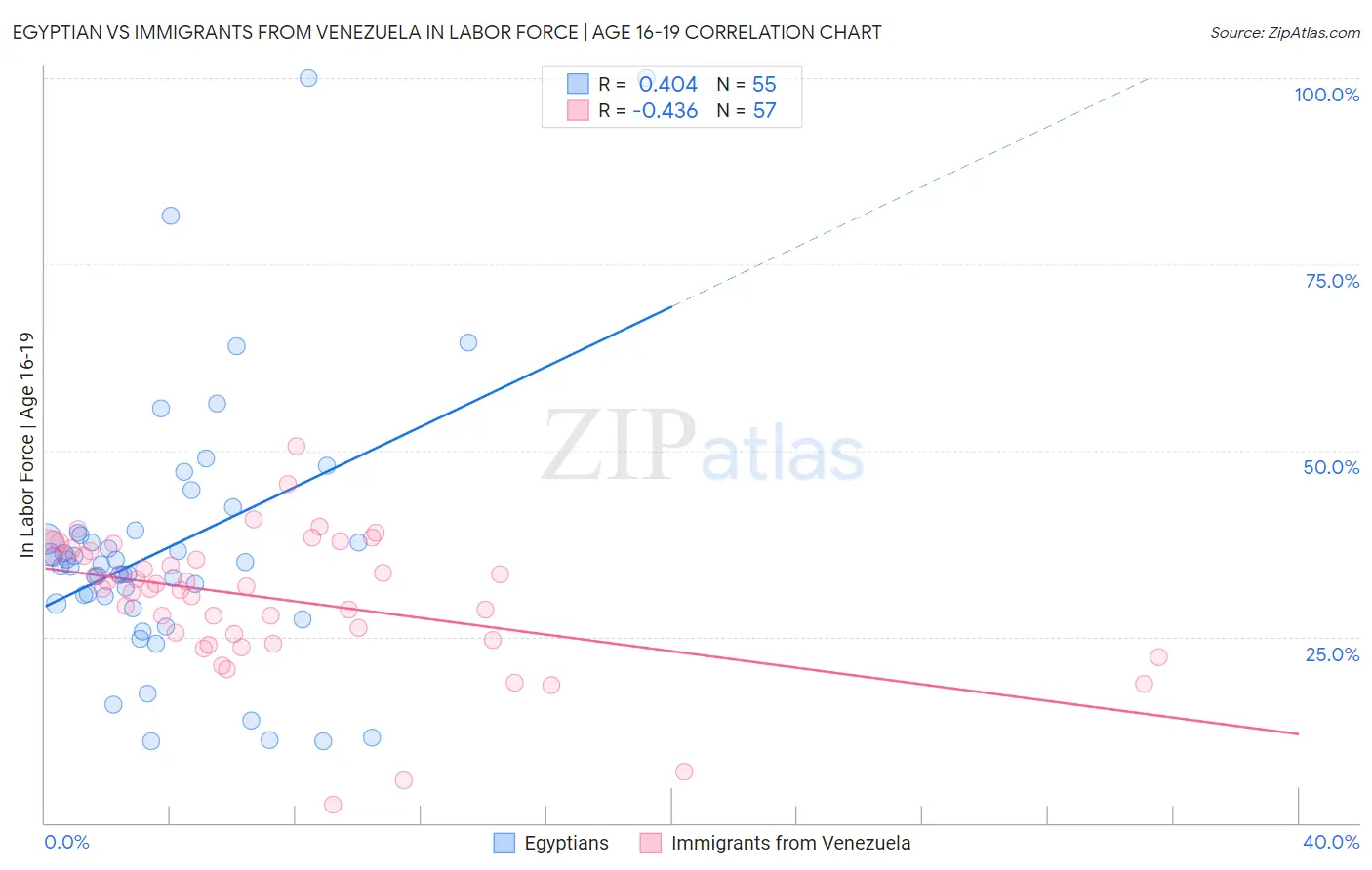 Egyptian vs Immigrants from Venezuela In Labor Force | Age 16-19