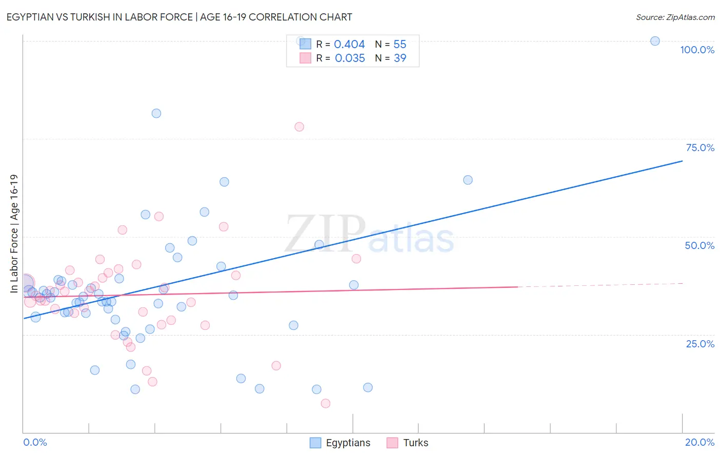 Egyptian vs Turkish In Labor Force | Age 16-19