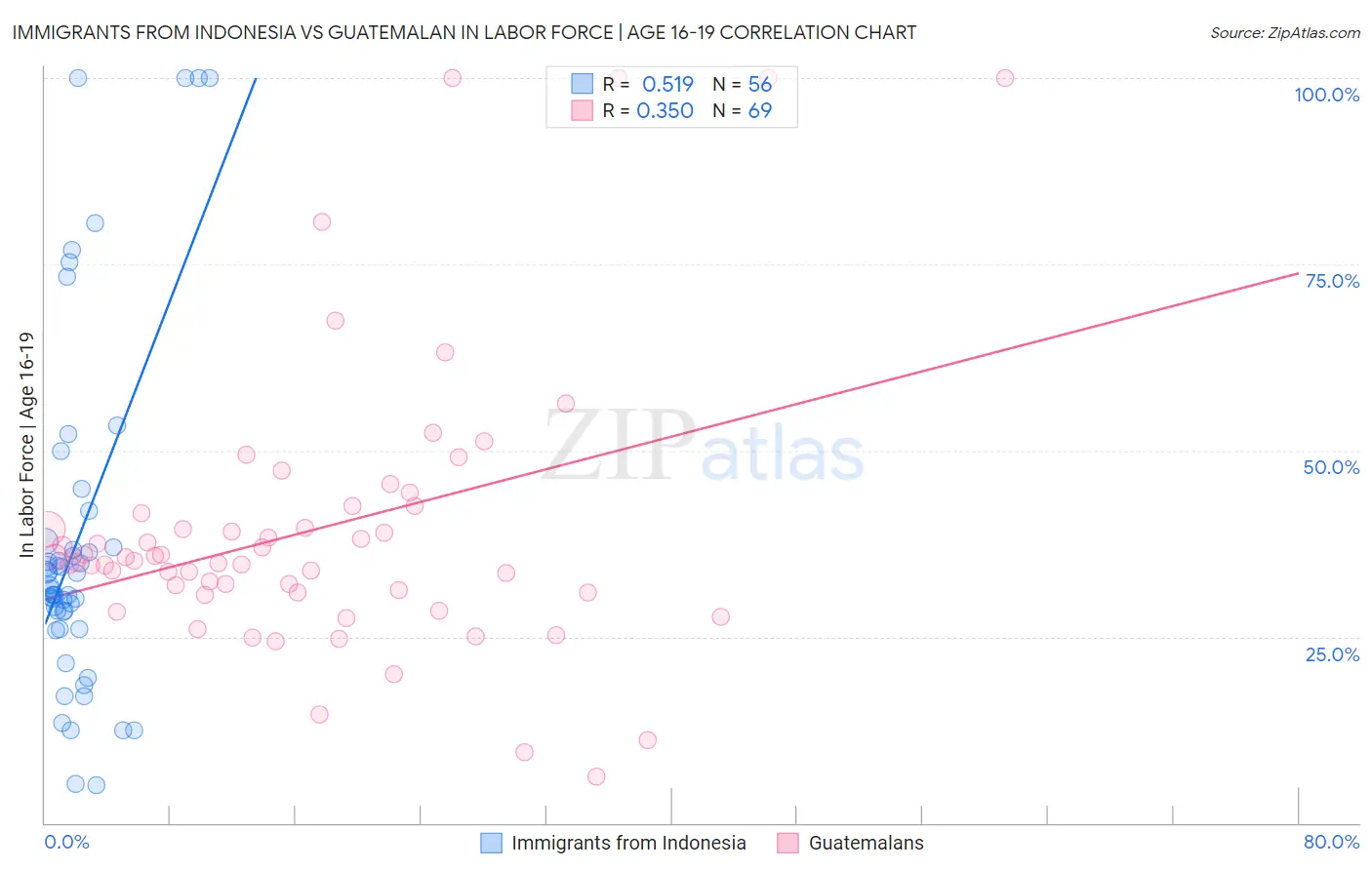 Immigrants from Indonesia vs Guatemalan In Labor Force | Age 16-19