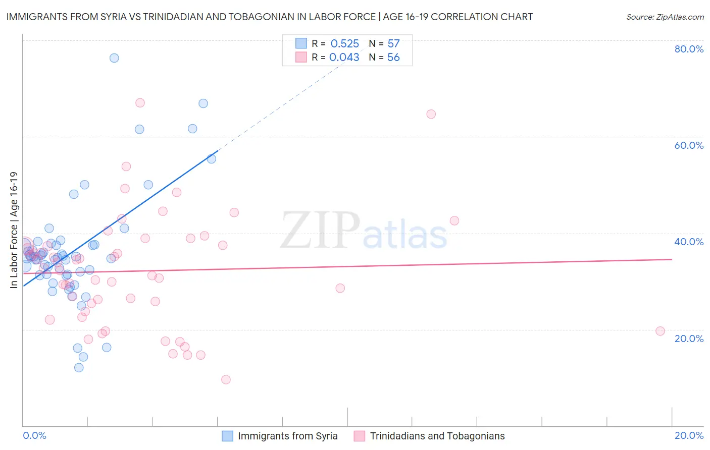 Immigrants from Syria vs Trinidadian and Tobagonian In Labor Force | Age 16-19