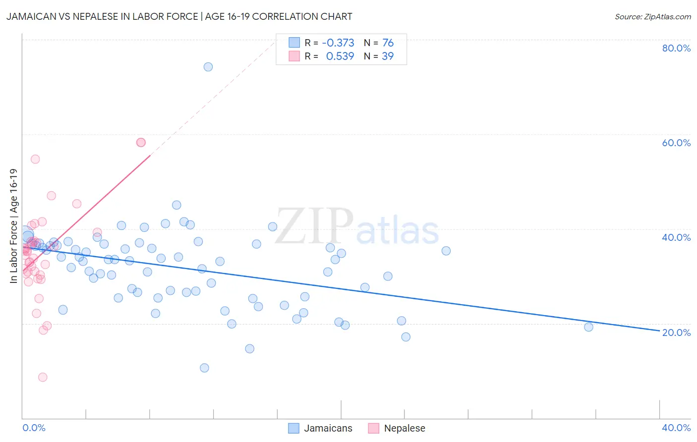 Jamaican vs Nepalese In Labor Force | Age 16-19