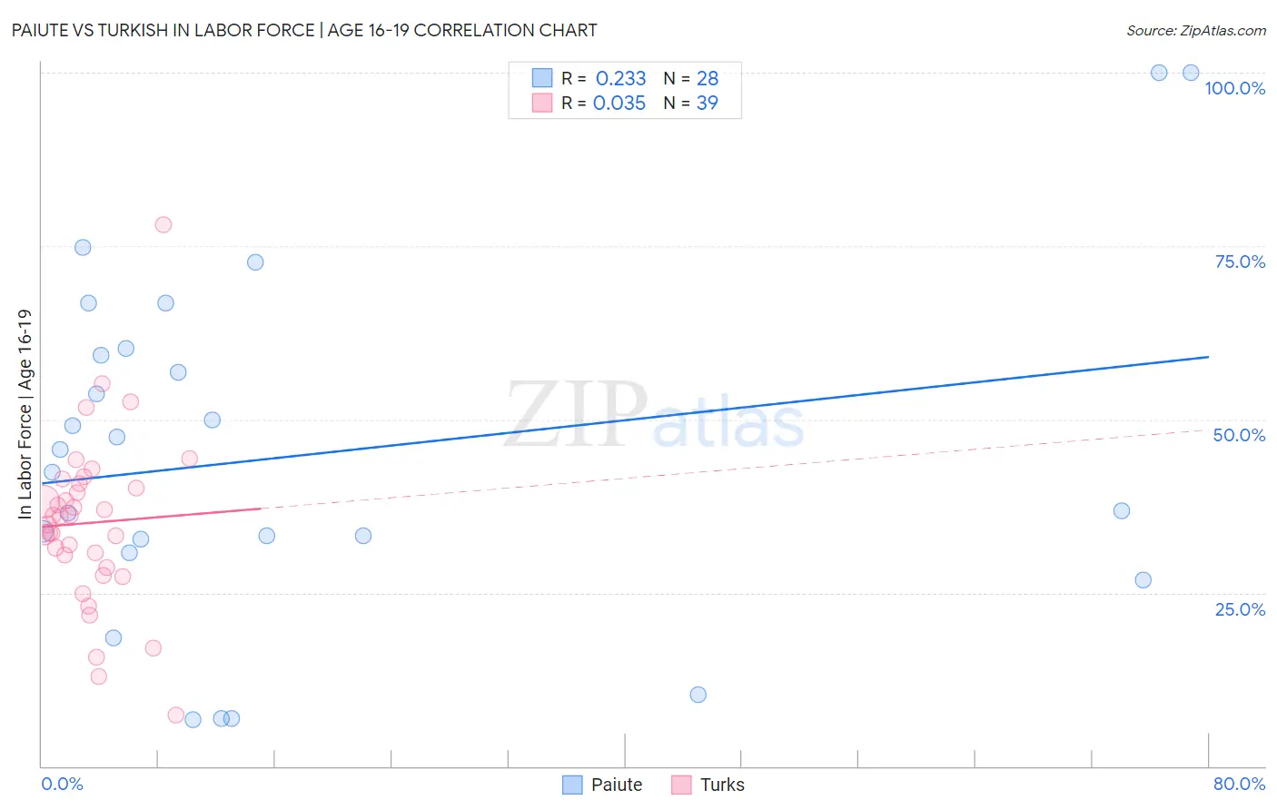 Paiute vs Turkish In Labor Force | Age 16-19