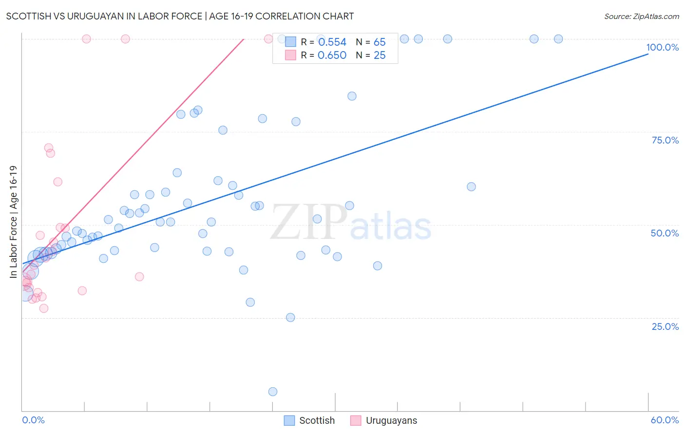 Scottish vs Uruguayan In Labor Force | Age 16-19