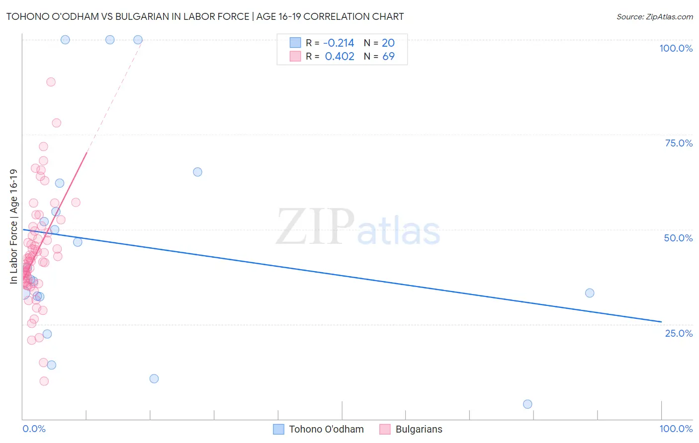 Tohono O'odham vs Bulgarian In Labor Force | Age 16-19