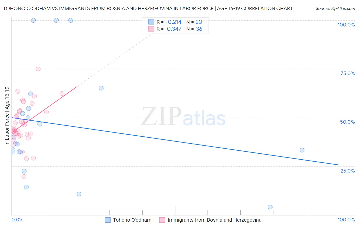 Tohono O'odham vs Immigrants from Bosnia and Herzegovina In Labor Force | Age 16-19