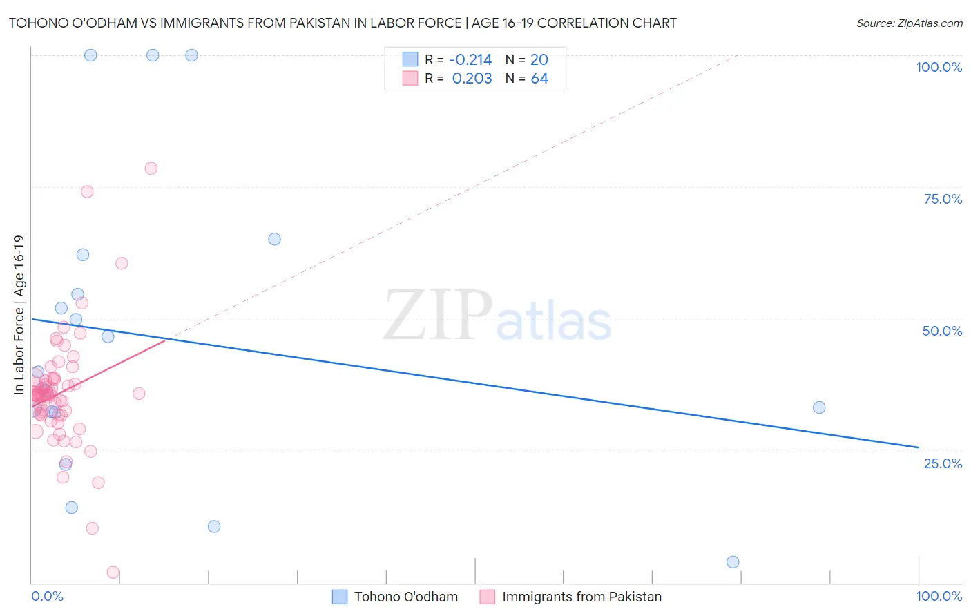 Tohono O'odham vs Immigrants from Pakistan In Labor Force | Age 16-19