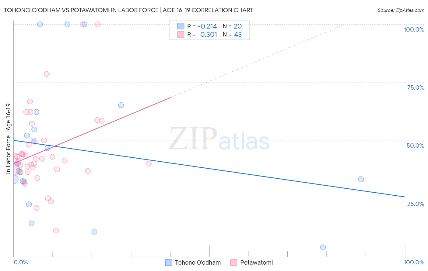 Tohono O'odham vs Potawatomi In Labor Force | Age 16-19