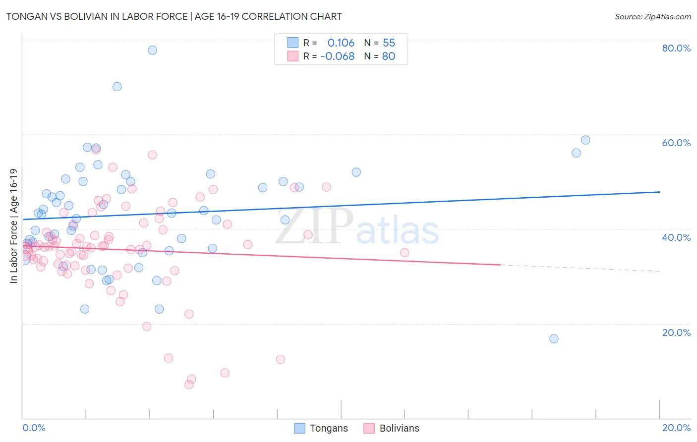 Tongan vs Bolivian In Labor Force | Age 16-19