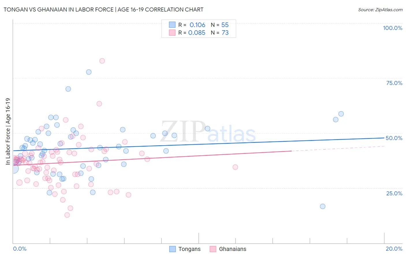 Tongan vs Ghanaian In Labor Force | Age 16-19