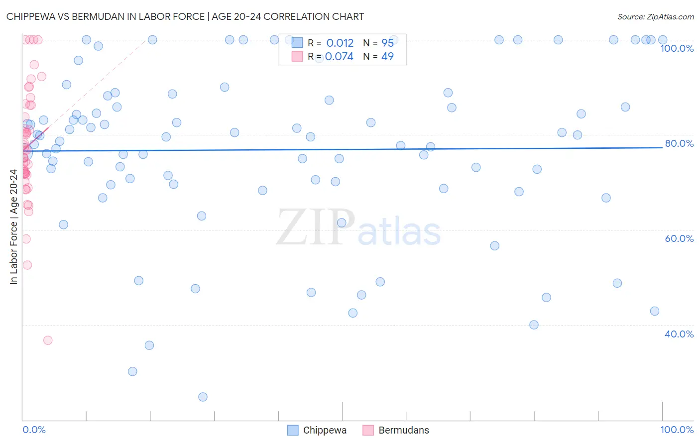 Chippewa vs Bermudan In Labor Force | Age 20-24