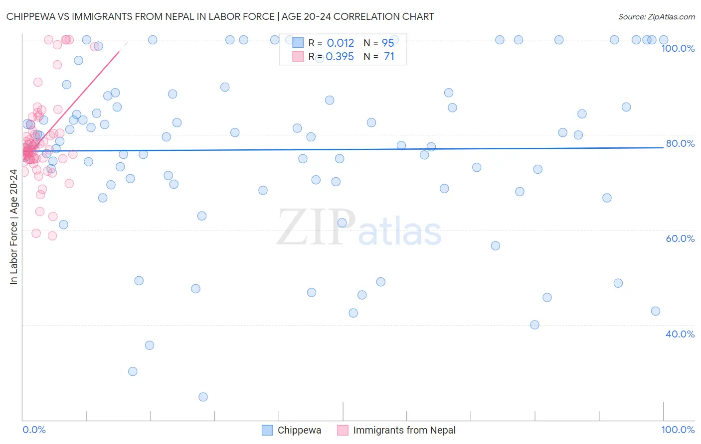 Chippewa vs Immigrants from Nepal In Labor Force | Age 20-24