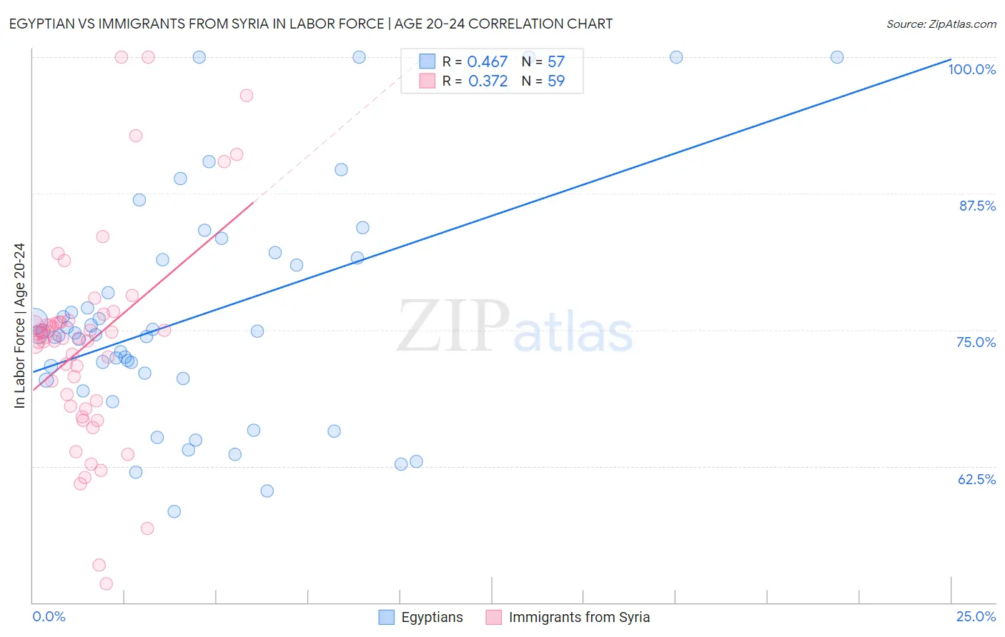 Egyptian vs Immigrants from Syria In Labor Force | Age 20-24