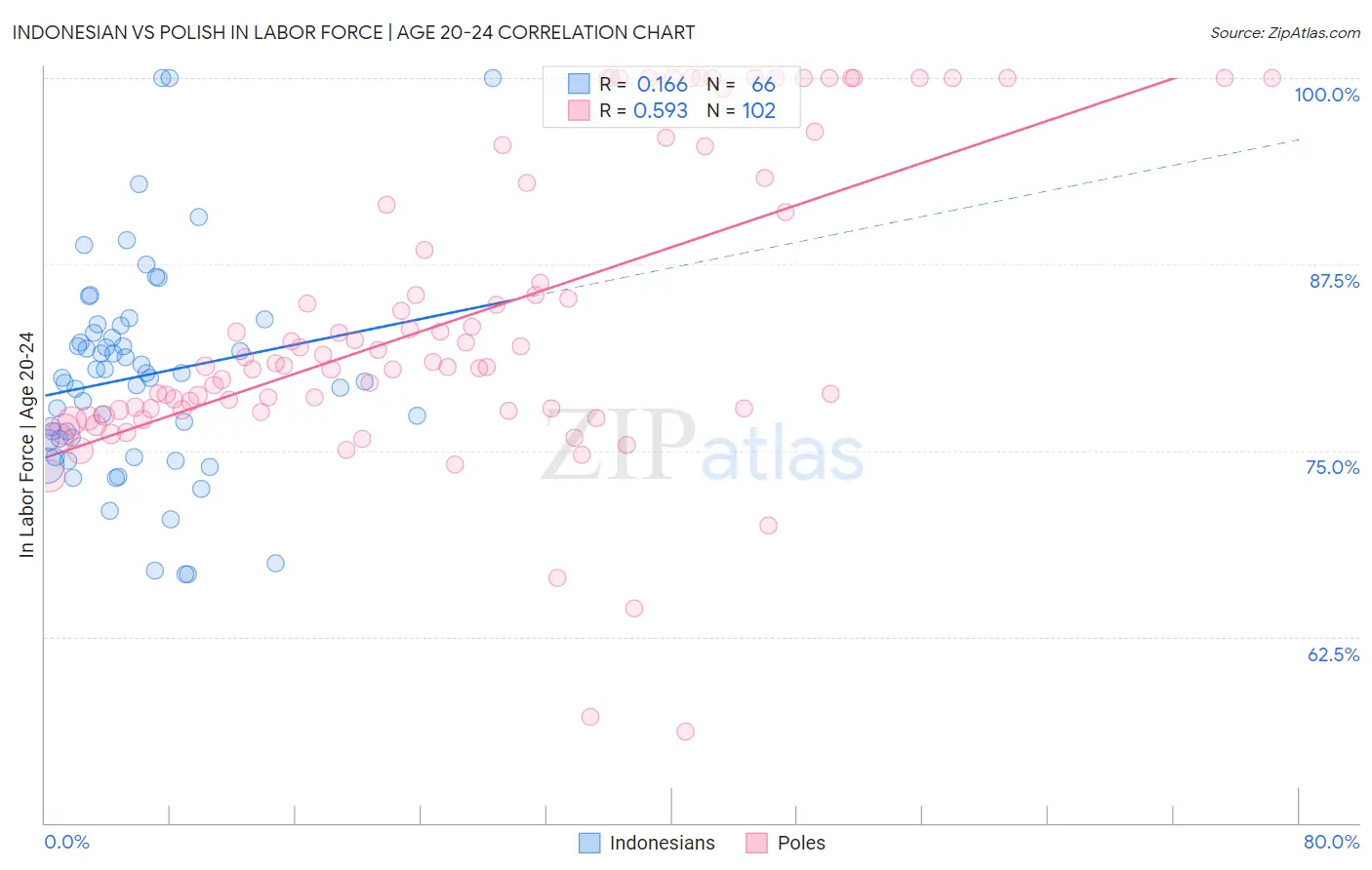 Indonesian vs Polish In Labor Force | Age 20-24