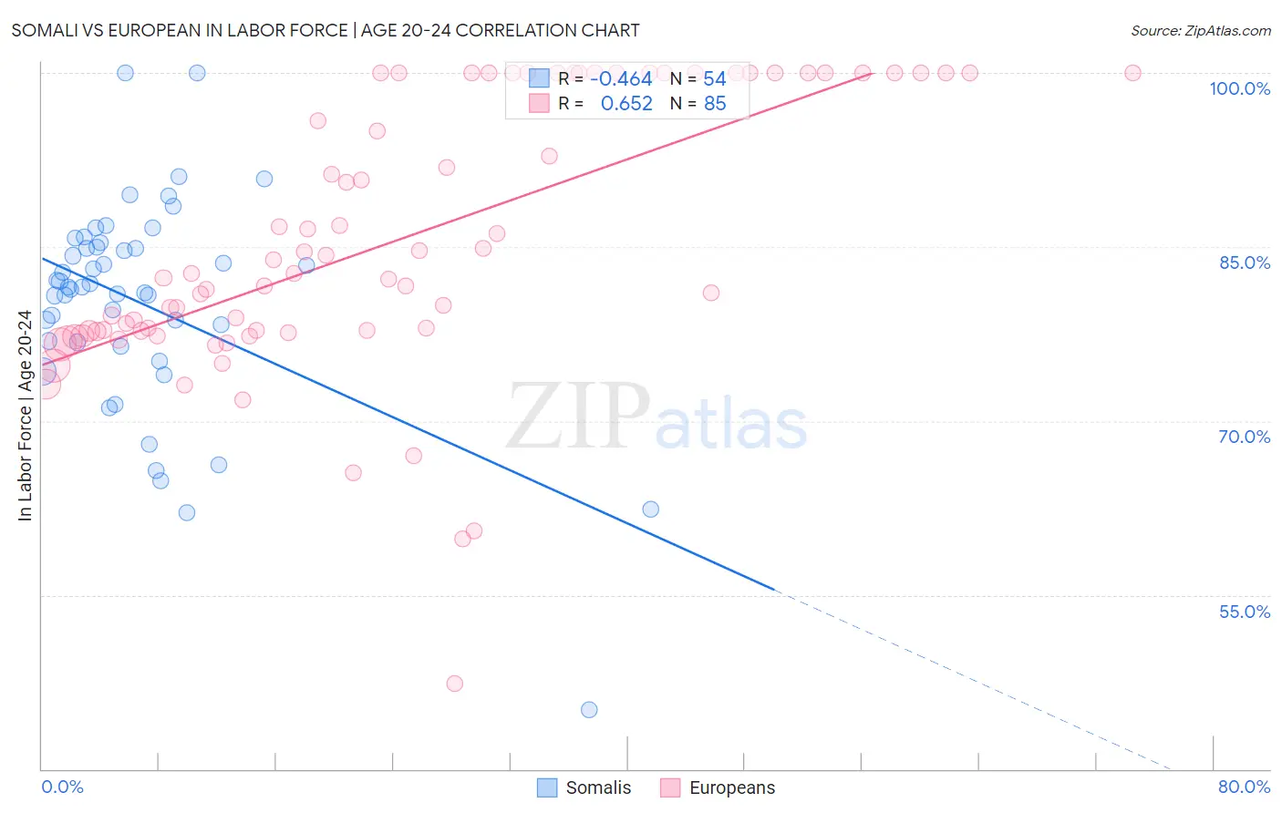 Somali vs European In Labor Force | Age 20-24