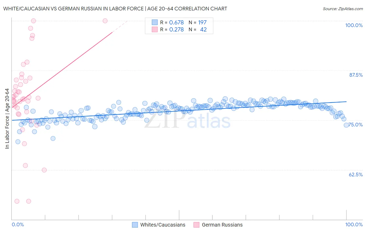 White/Caucasian vs German Russian In Labor Force | Age 20-64