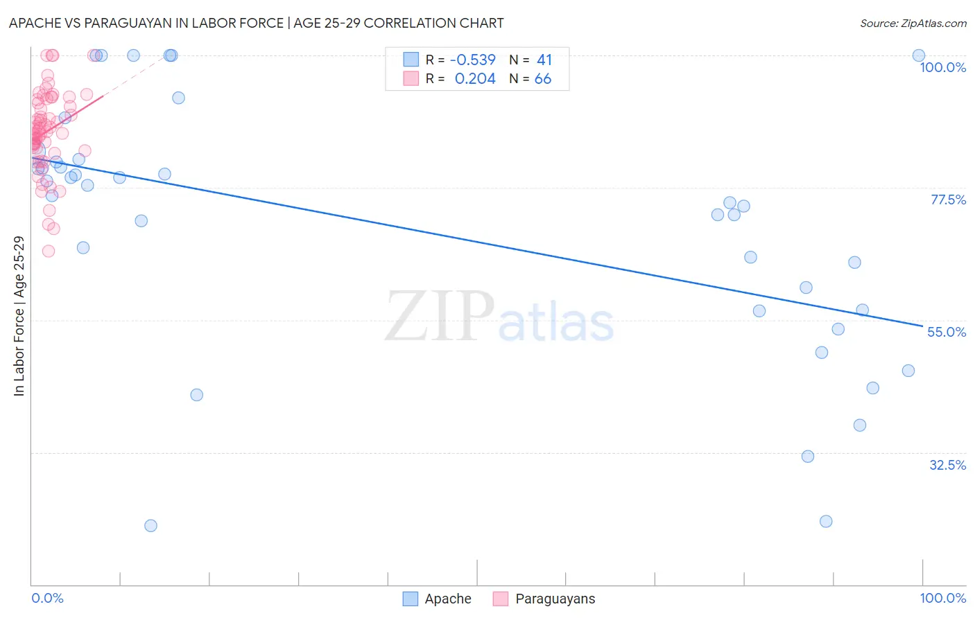 Apache vs Paraguayan In Labor Force | Age 25-29