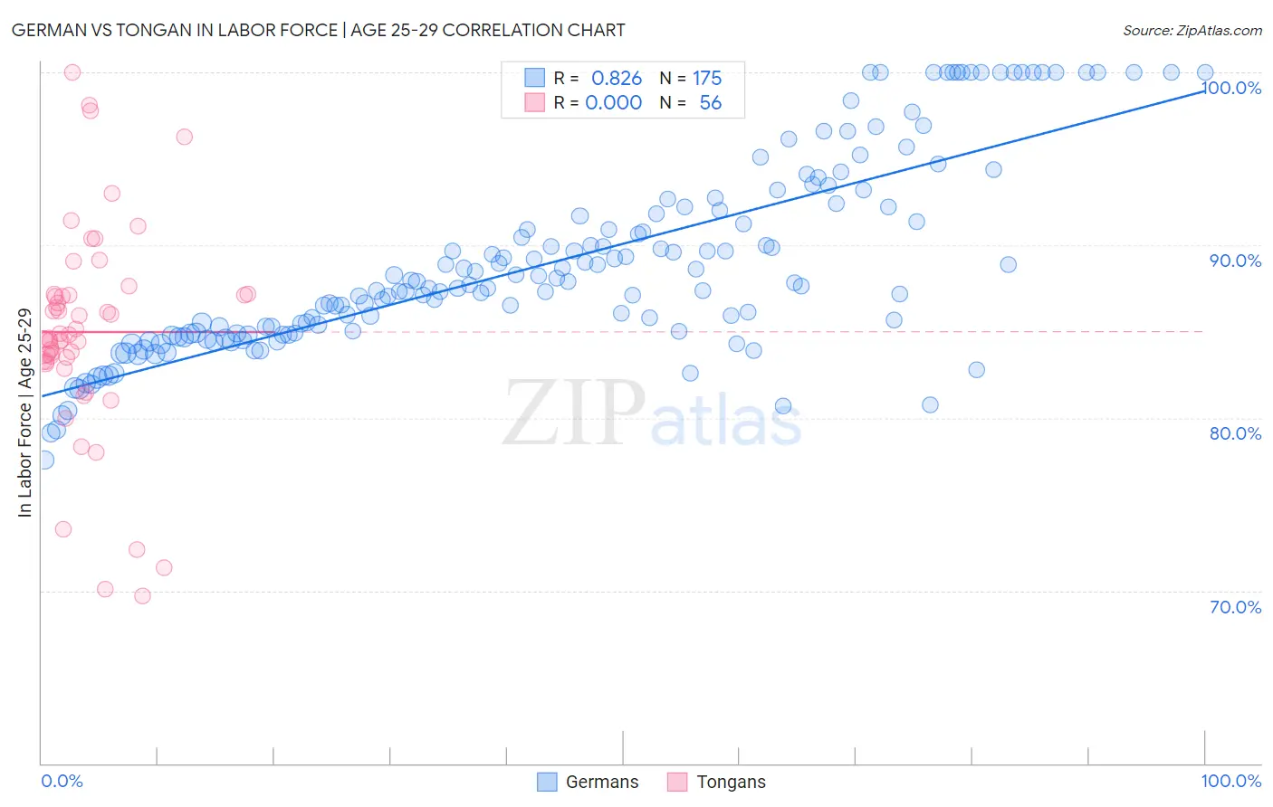 German vs Tongan In Labor Force | Age 25-29