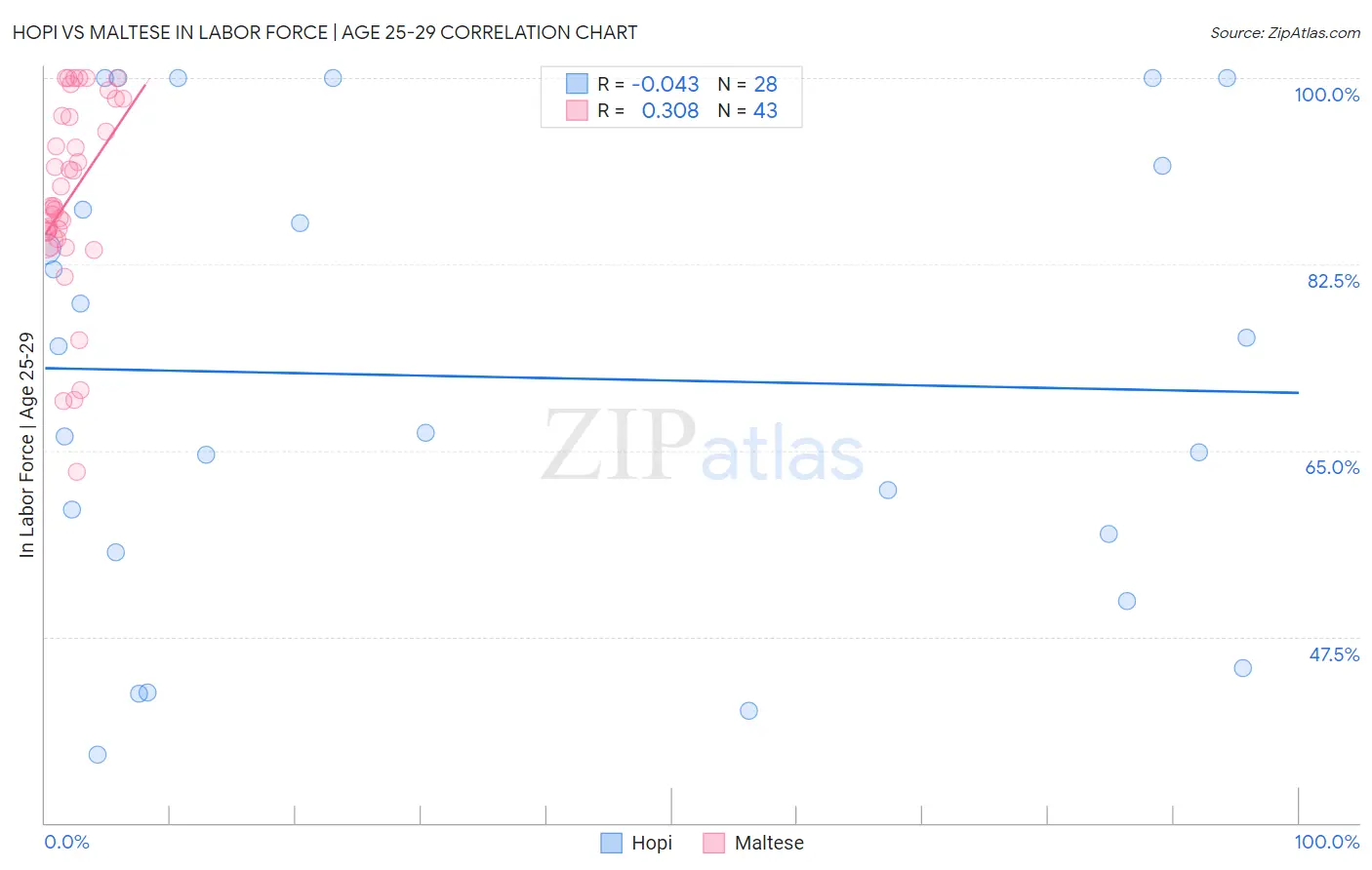 Hopi vs Maltese In Labor Force | Age 25-29