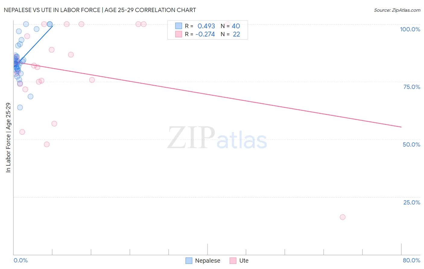 Nepalese vs Ute In Labor Force | Age 25-29