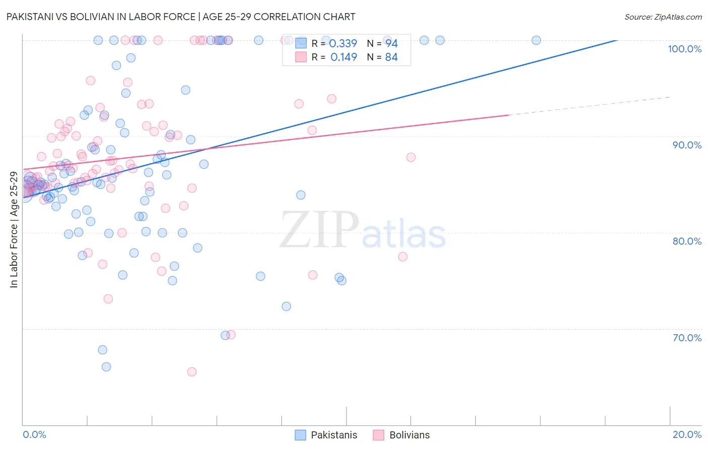 Pakistani vs Bolivian In Labor Force | Age 25-29