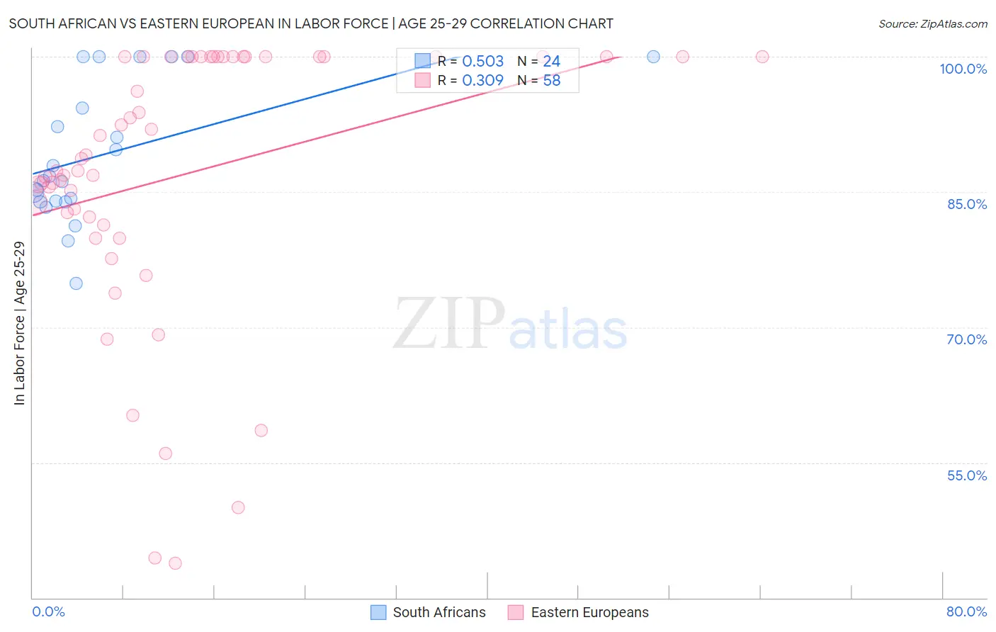 South African vs Eastern European In Labor Force | Age 25-29