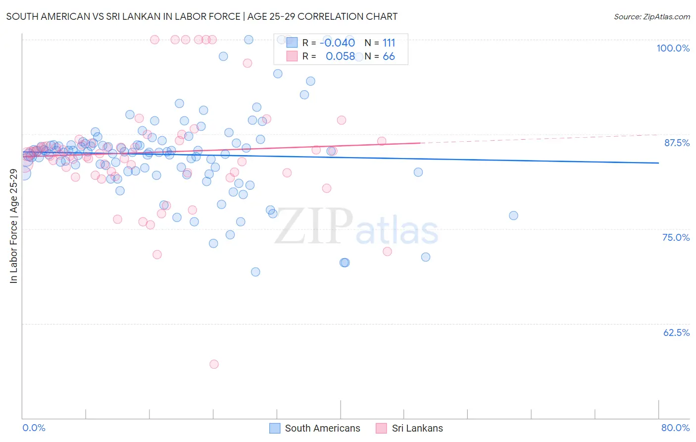 South American vs Sri Lankan In Labor Force | Age 25-29