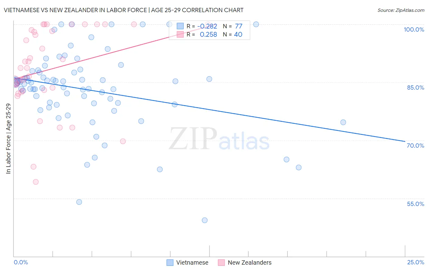 Vietnamese vs New Zealander In Labor Force | Age 25-29