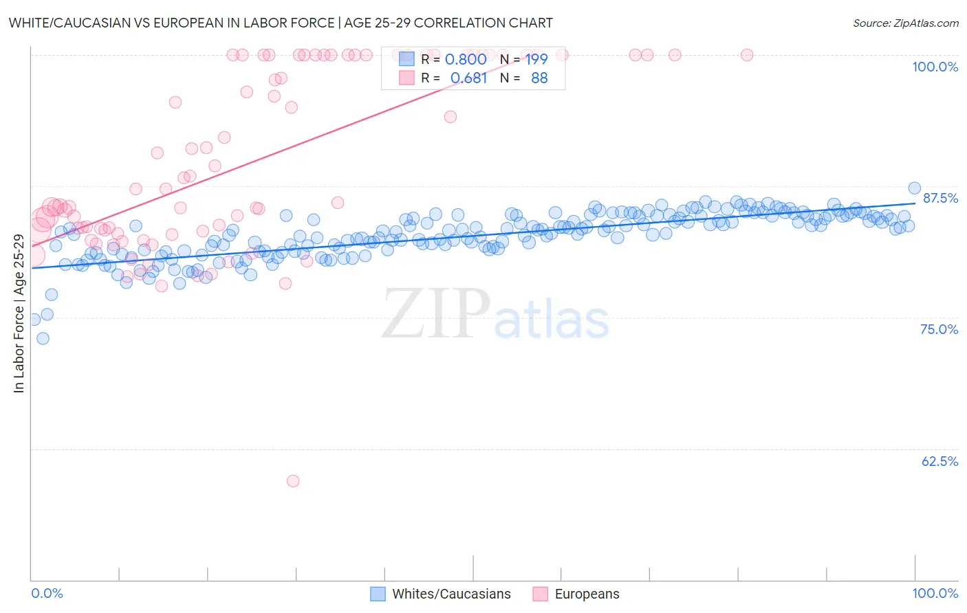 White/Caucasian vs European In Labor Force | Age 25-29