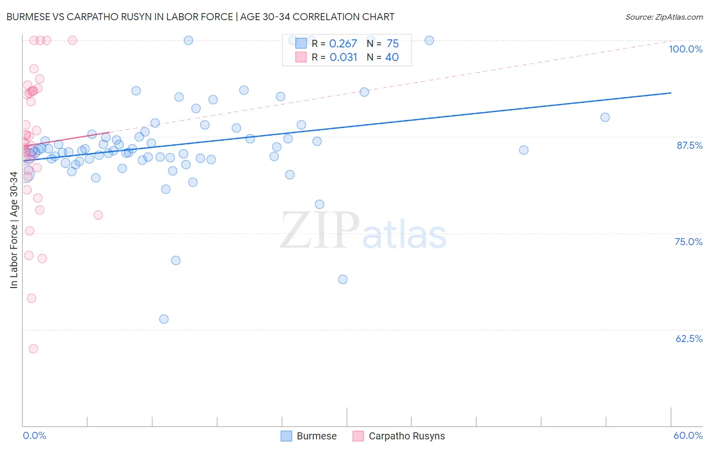 Burmese vs Carpatho Rusyn In Labor Force | Age 30-34