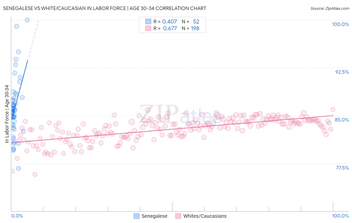 Senegalese vs White/Caucasian In Labor Force | Age 30-34