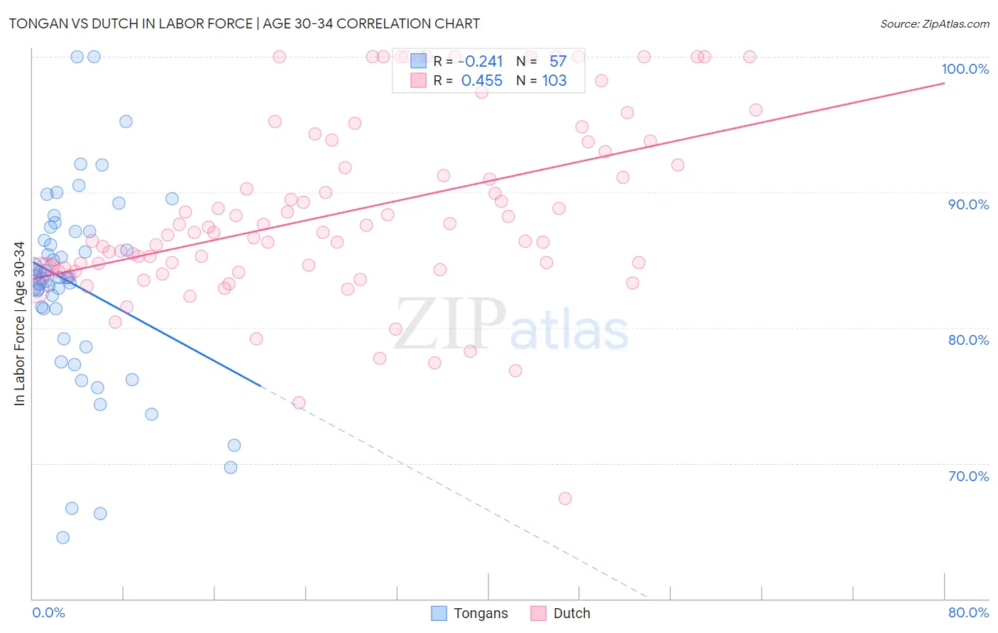 Tongan vs Dutch In Labor Force | Age 30-34