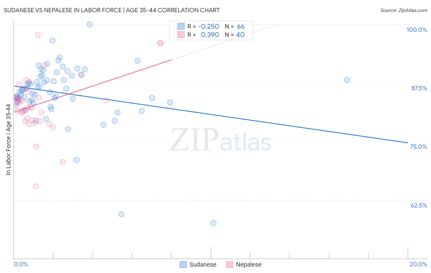 Sudanese vs Nepalese In Labor Force | Age 35-44