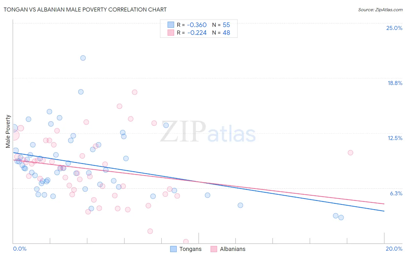 Tongan vs Albanian Male Poverty