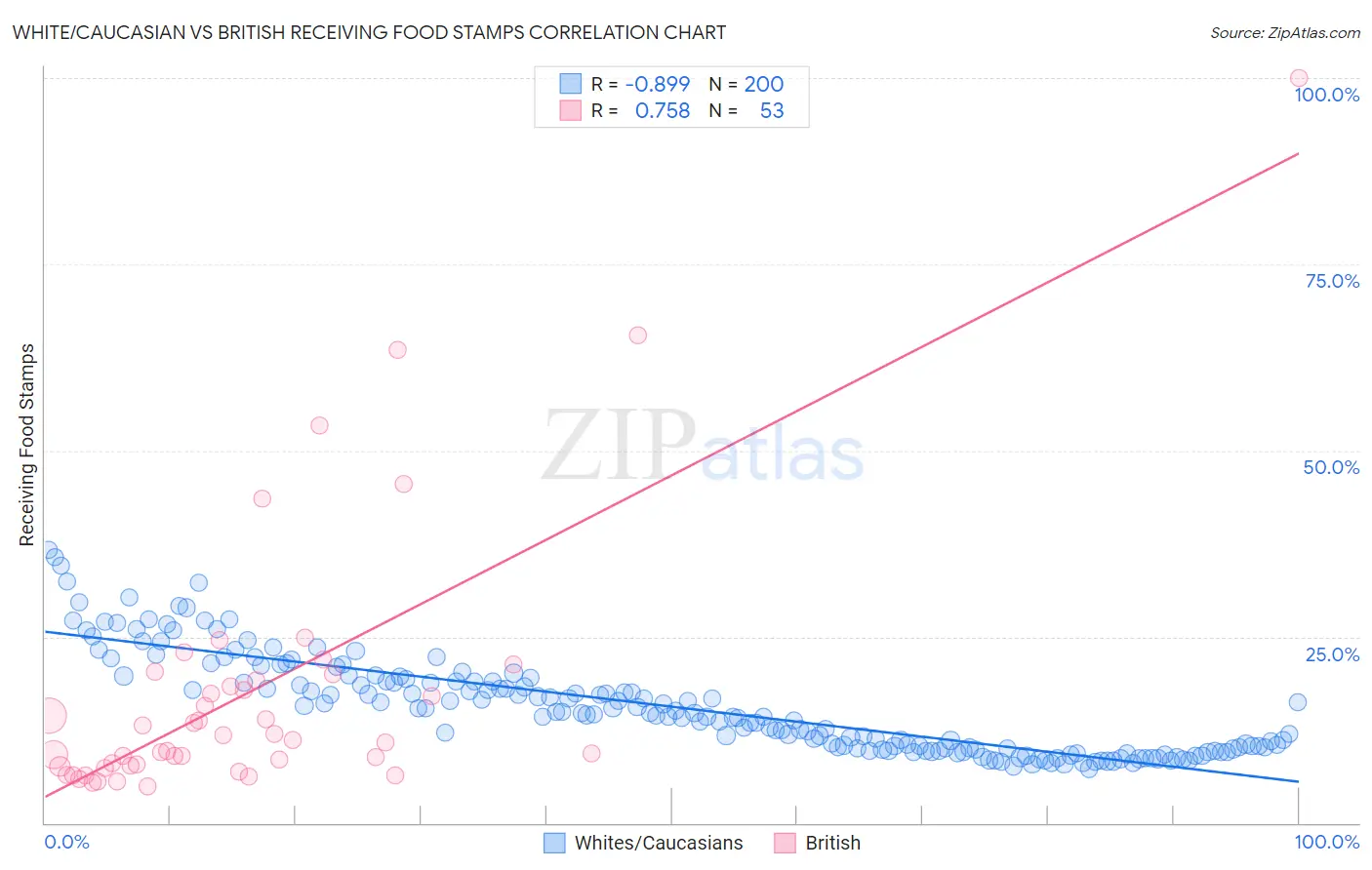 White/Caucasian vs British Receiving Food Stamps