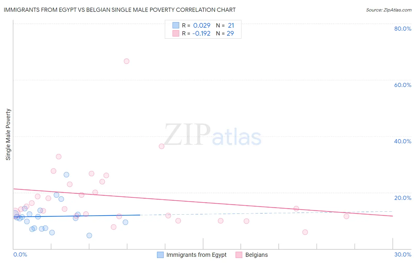 Immigrants from Egypt vs Belgian Single Male Poverty