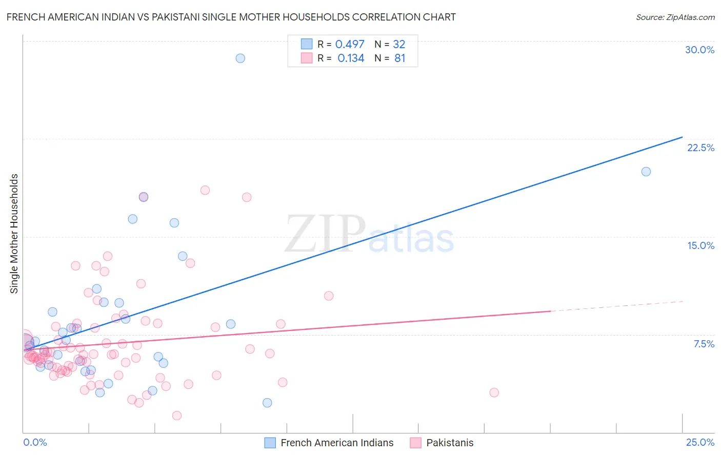 French American Indian vs Pakistani Single Mother Households