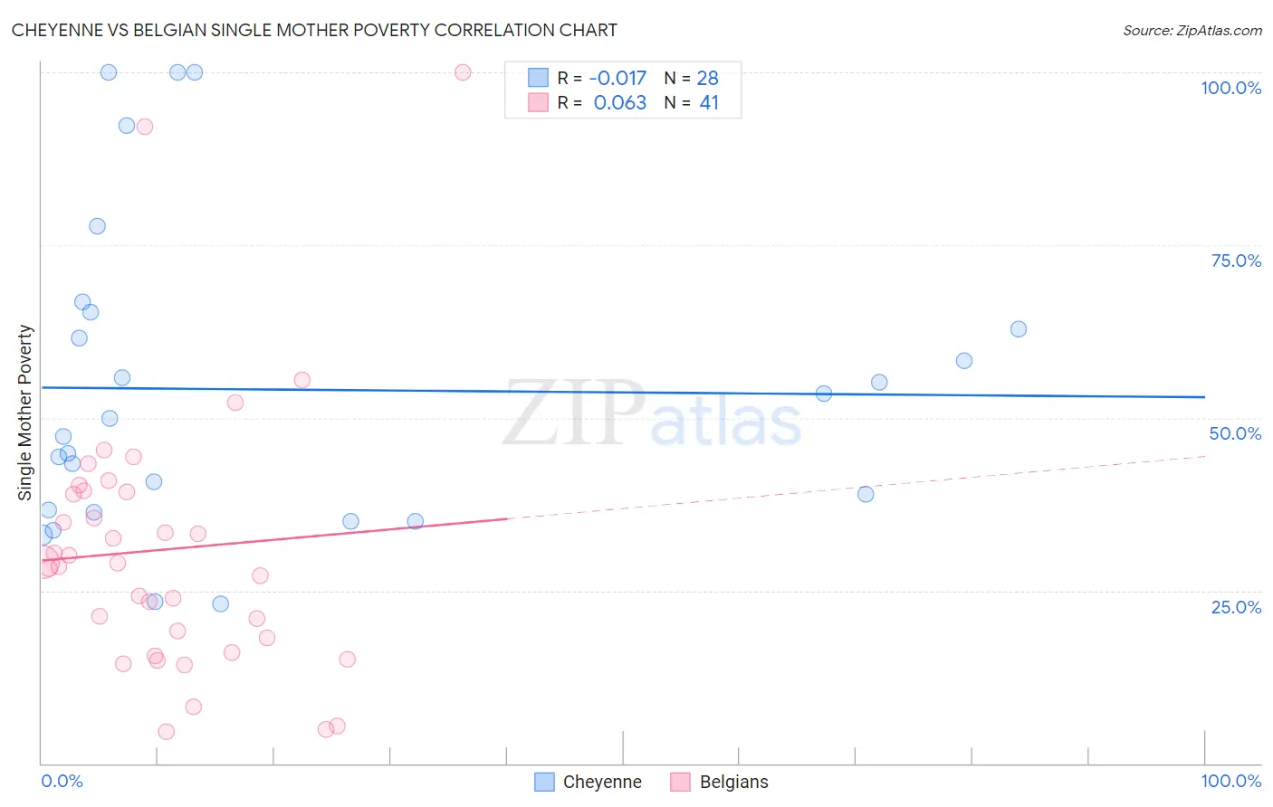 Cheyenne vs Belgian Single Mother Poverty