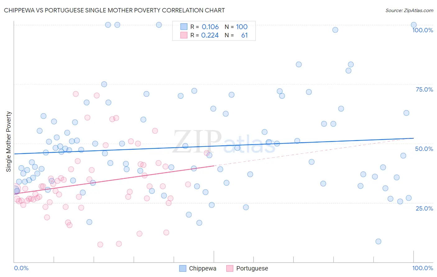 Chippewa vs Portuguese Single Mother Poverty