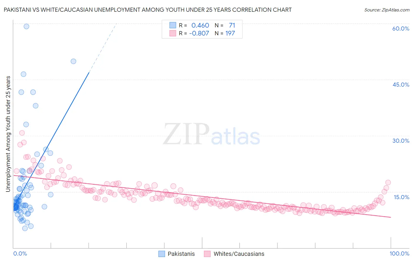 Pakistani vs White/Caucasian Unemployment Among Youth under 25 years