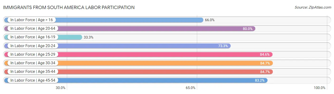 Immigrants from South America Labor Participation