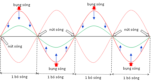 Bó Sóng: Khám Phá Hiện Tượng Sóng Dừng Và Ứng Dụng Thực Tế