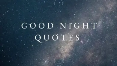 Good Night Quotes