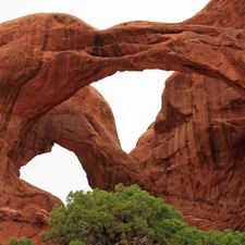 viewes, canyon, trees