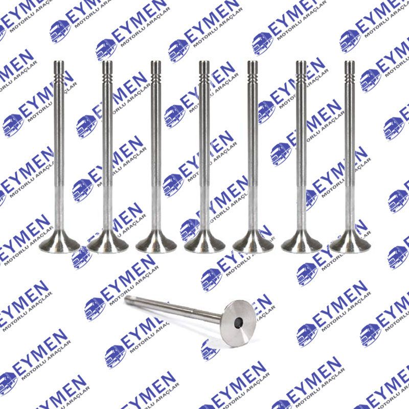 Sprinter Intake Valve