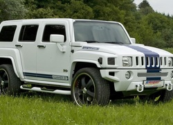 Hummer, H3