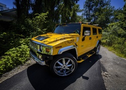 Żółty Hummer H2, Droga, Drzewa